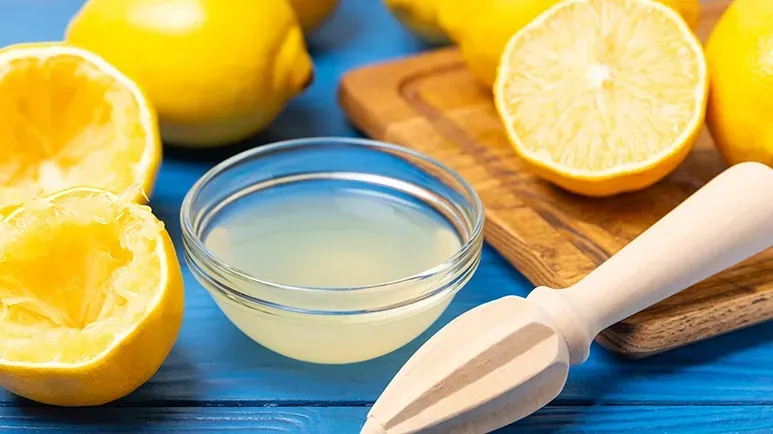 can you feed lemons to your pet