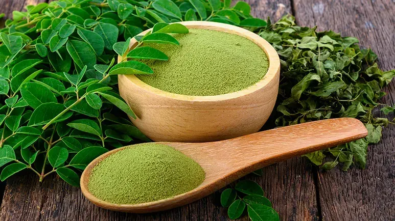can you feed moringa to your pet