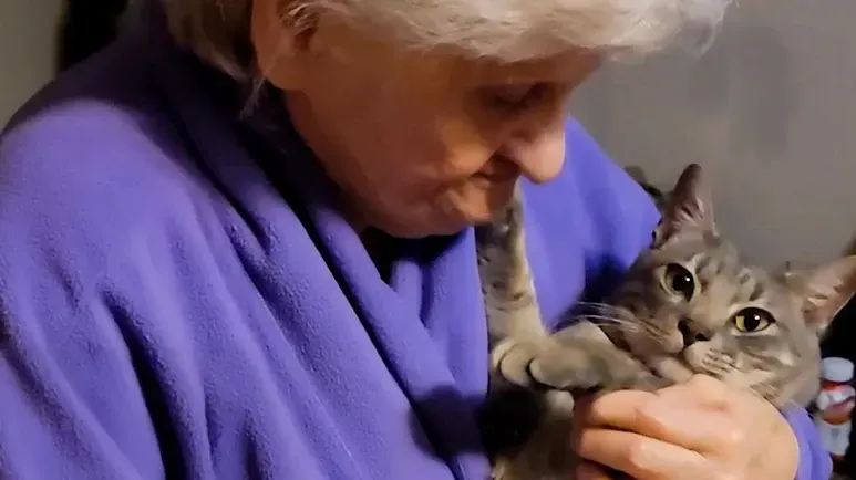 grandma vs cat is my favorite show