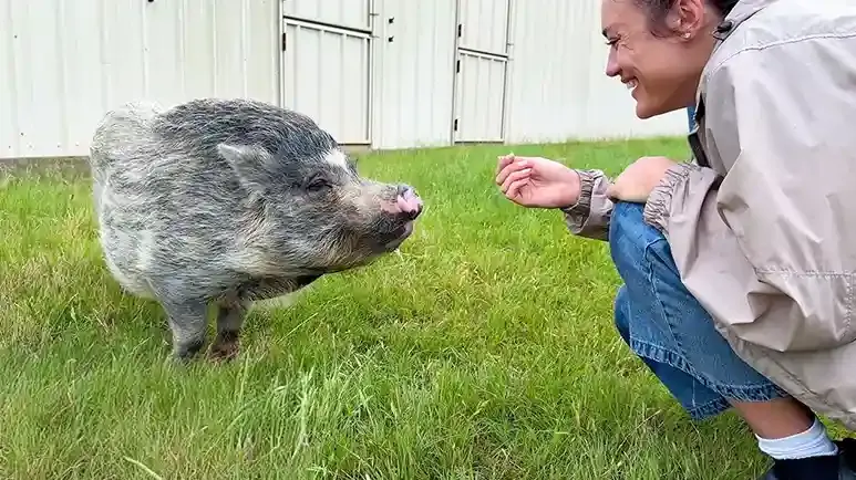 meet the animals who got a second chance