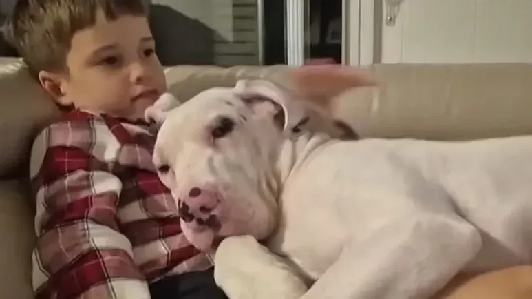 their friendship needs no words