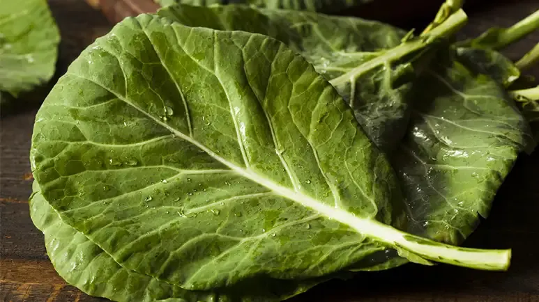 can you feed collards to your pet