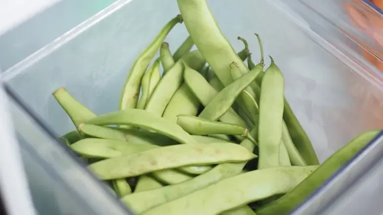 can you feed green beans to your pet