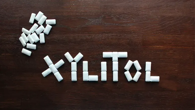 xylitol poisoning