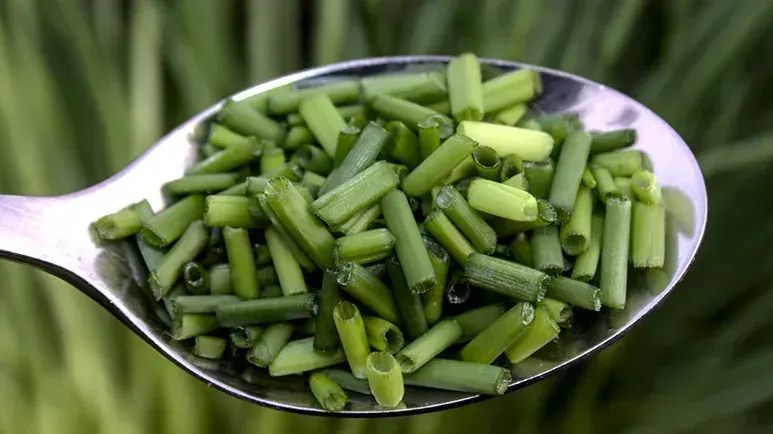 can you feed chives to your pet