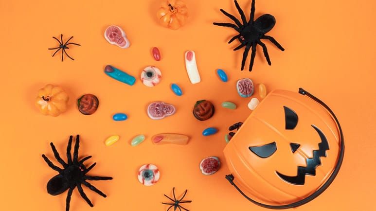 halloween pet candy safety