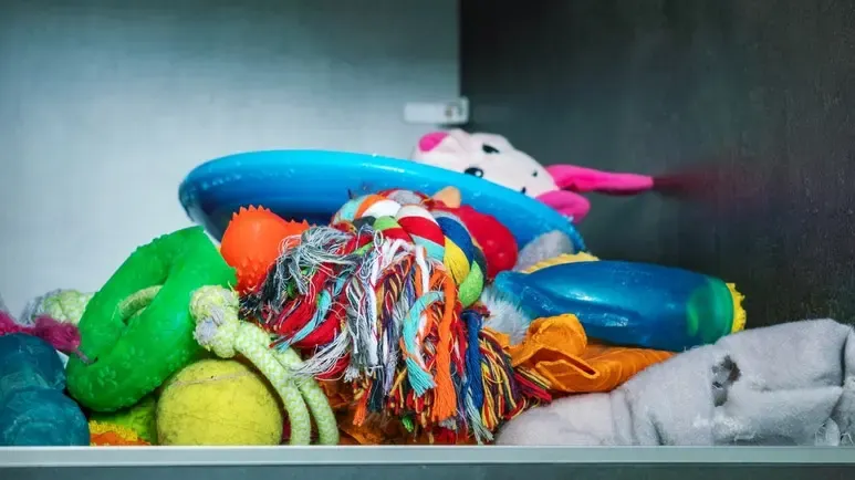 tips for selecting dog toys