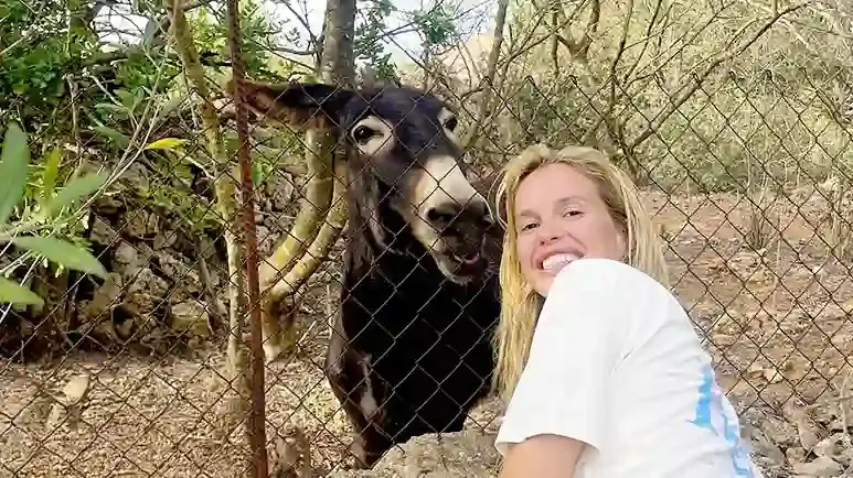 woman goes on vacation and finds a donkey bestie