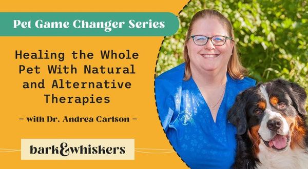 healing pet natural alternative therapies