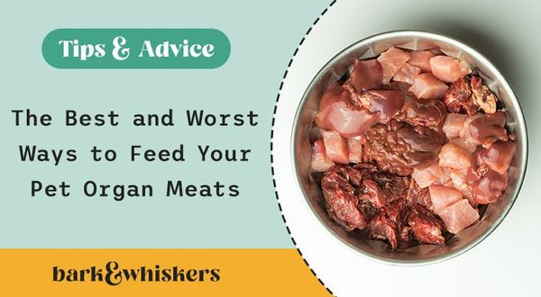 organ meats for pets