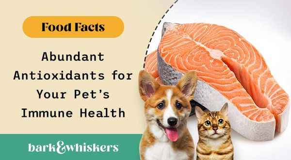 can you feed salmon to your pets?