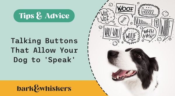 talking dog buttons