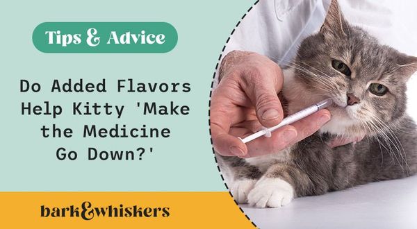 cat medicine flavors