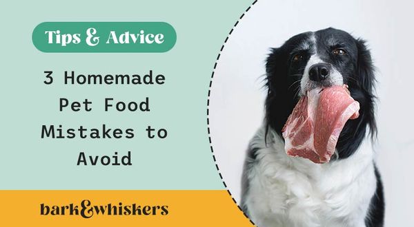 homemade food for dogs