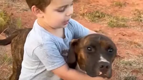 dad said no to loki until his little boy convinced him