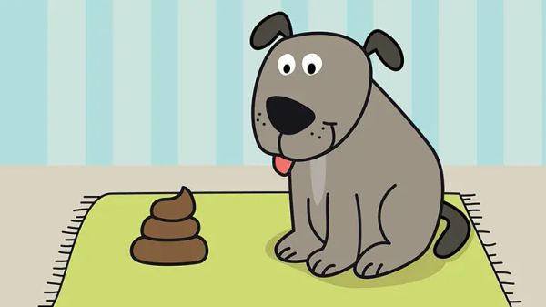 dog eating poop