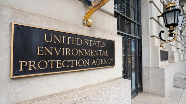 bayer seresto collar