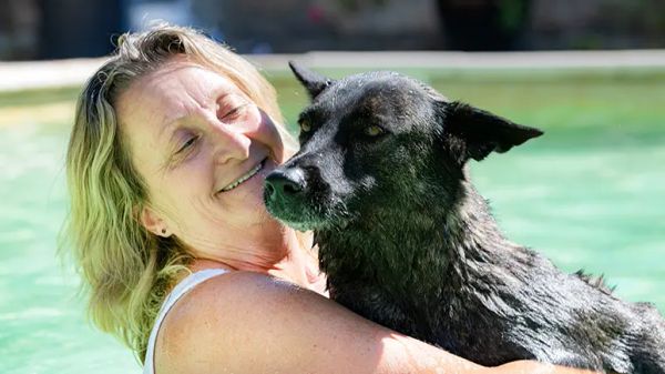 caring for a senior dog