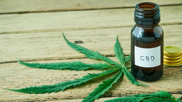 cbd for osteoarthritis in dogs