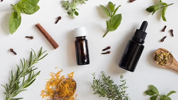 essential oils lyme disease bacteria