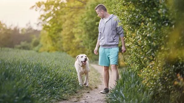 exercisingsenior dog