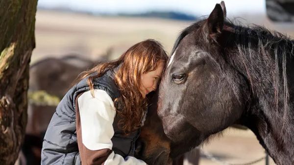 how well can you read animal emotions