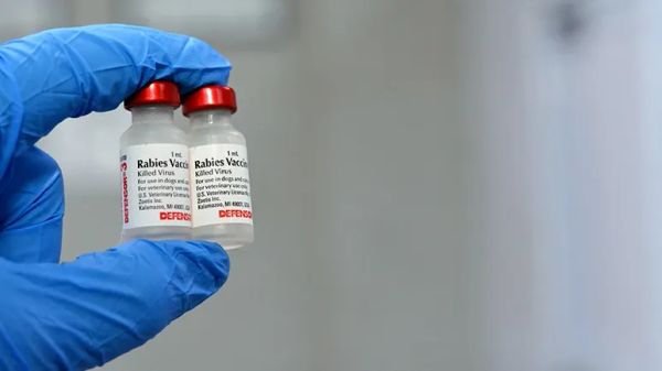 overdue rabies vaccine