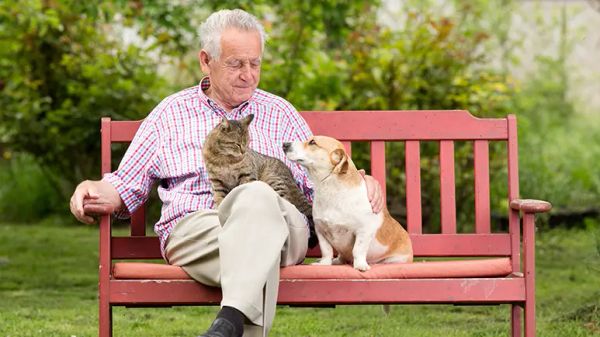 pet care after death of owner
