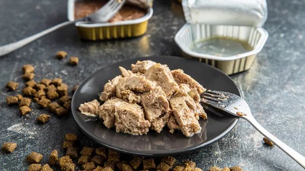 pet food industry transparency