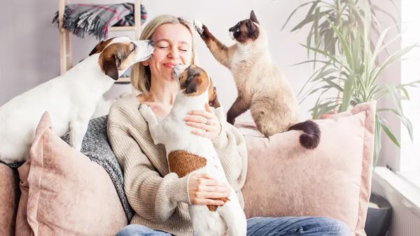 pet helping you stay mentally sharp