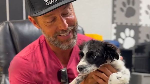 nervous but sweet pup finds the perfect foster situation