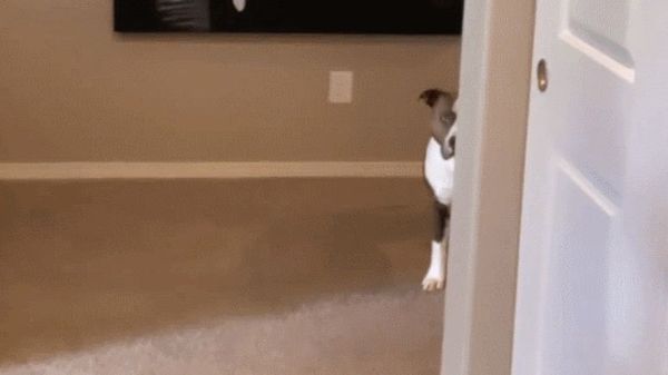 rather than stalking, George is just keeping an eye out