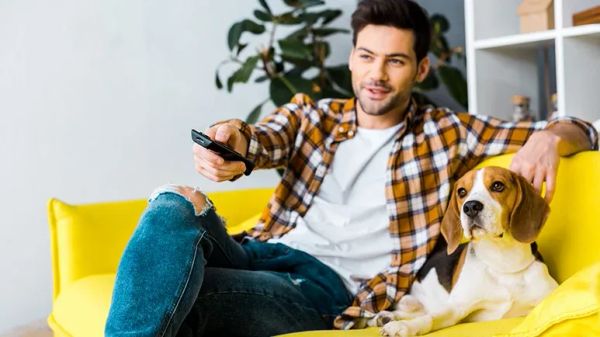 does your dog watch tv like you do