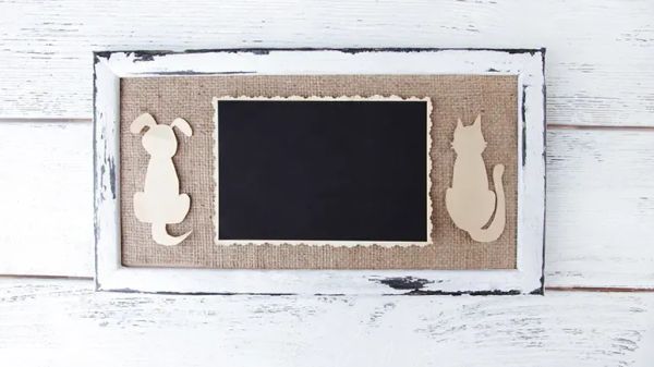 memorializing pet companion