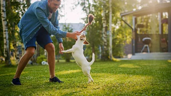 environmental enrichment