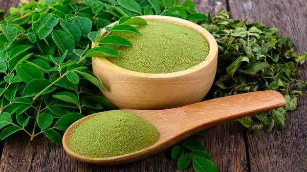 moringa superfood for pets