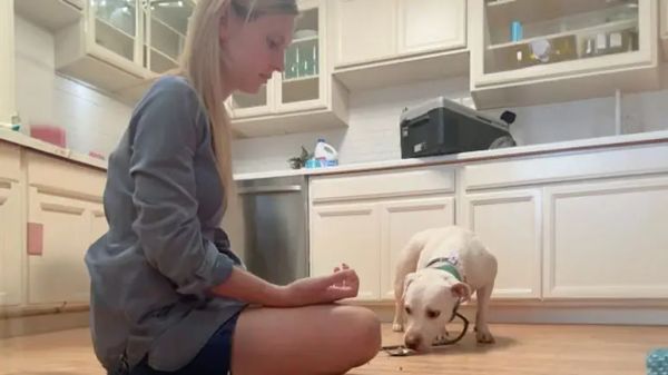 a foster moms path to earning mables trust