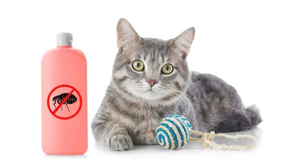 eprinomectin toxicity