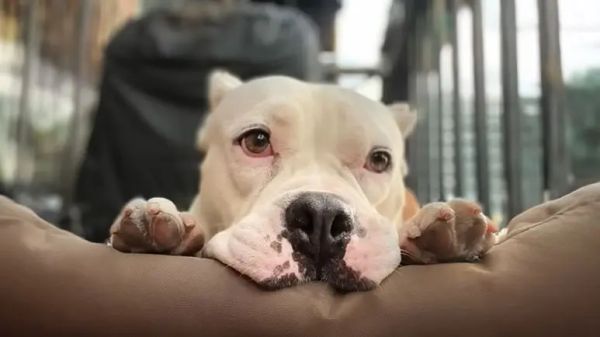 marge was given a second chance at love