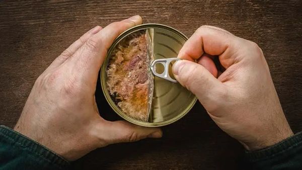 mercury toxins pet food