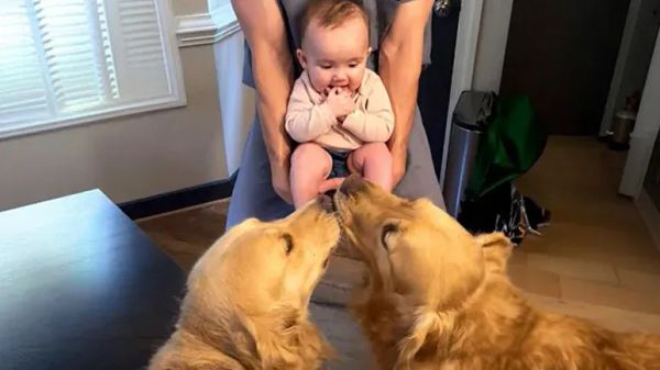 babys first word honors furry friend