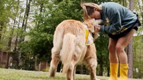 from neglect to love baylors journey