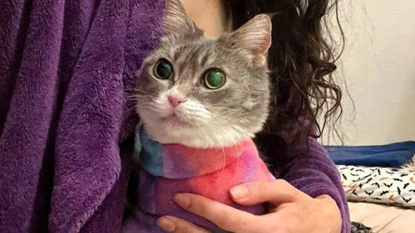 mabels journey from frail to fearless