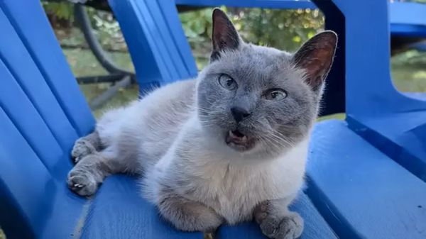 meep the queen of our hearts at 18