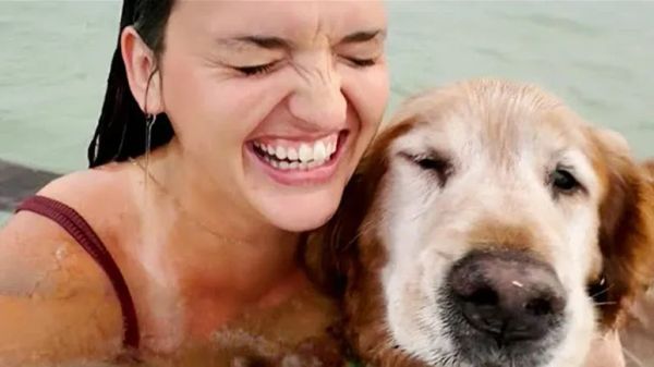 senior dogs joy ride