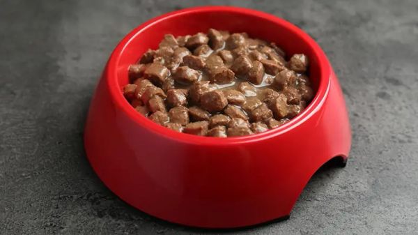 undeclared species in pet food