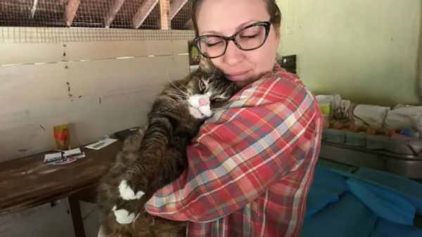 cenks journey from stray to loved