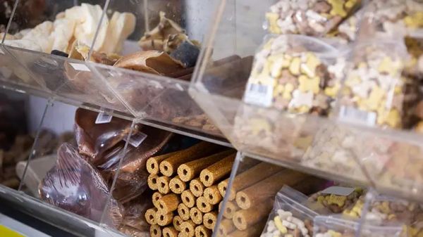 pet food ingredients to watch for