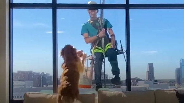 tofus mission making friends everywhere