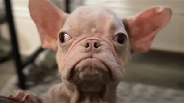 harolds journey to love and healing